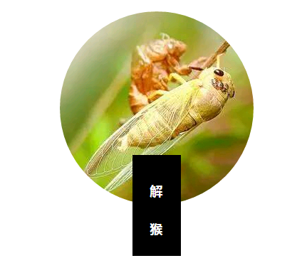 θðũ洦