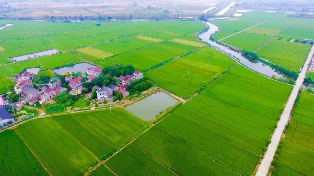 南京高标准农田建设与美丽乡村打造相结合,风景如画。 溧水区农业农村局供图