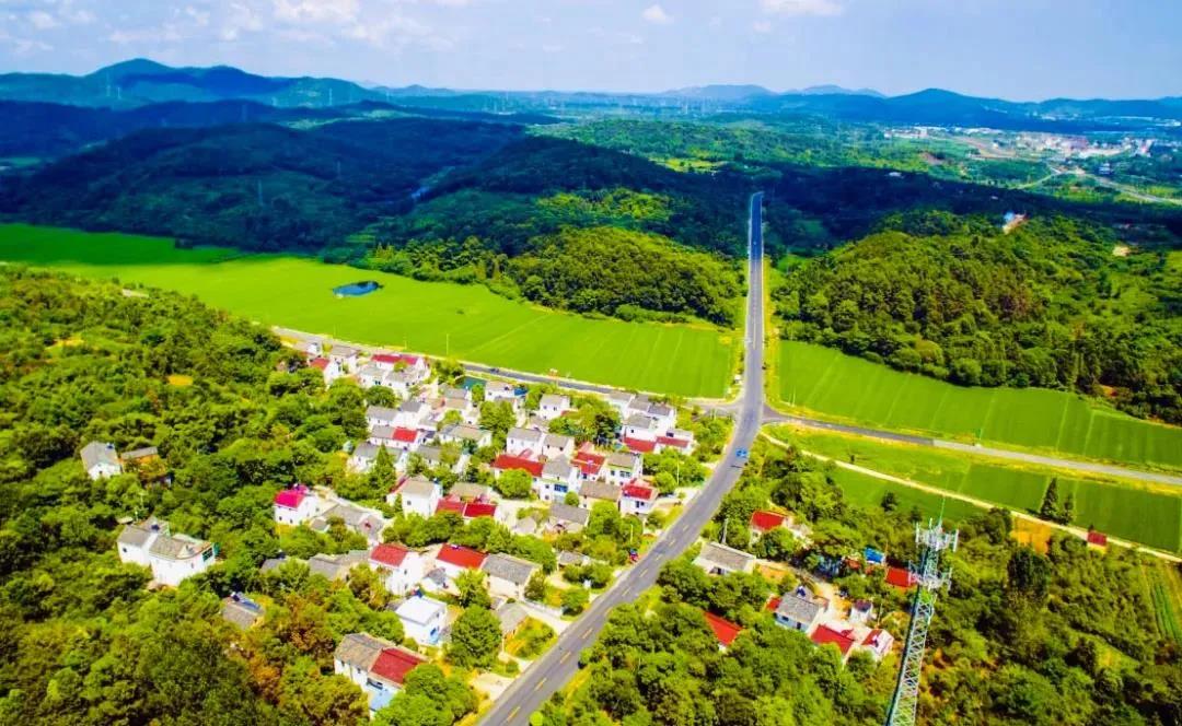 “四好农村路”推动溧水美丽乡村建设。通讯员 张福敏 南报融媒体记者 崔晓摄