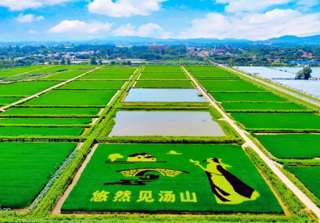 美丽的江宁汤山阜庄村。通讯员 赵欣 南报融媒体记者 冯芃摄