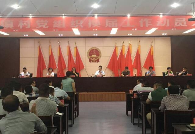沙集镇胜利召开村党组织换届工作动员大会