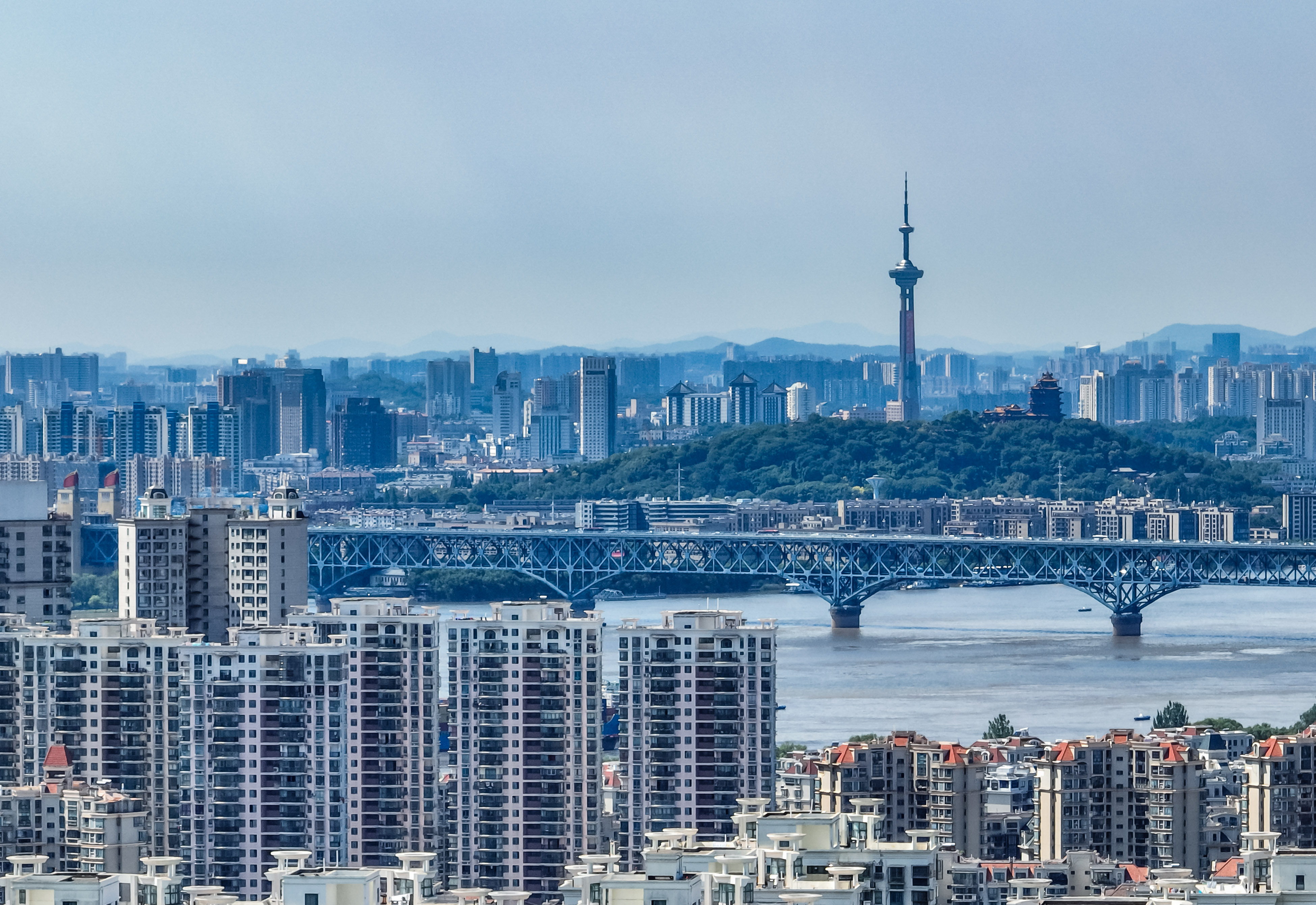 南京。南京日报/紫金山新闻记者 董家训摄